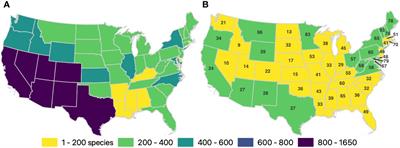 Advancing bee conservation in the US: gaps and opportunities in data collection and reporting